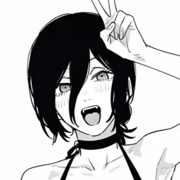type://feng icon
