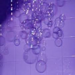 Purple Shield