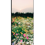 -rand0m C|0thing-