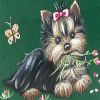 Yorkie dog! Roblox decal