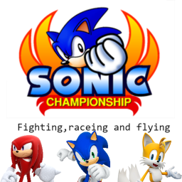 Sonic the hedgehog Championship!