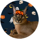 spooky scary skelingtons