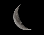 TeamMidnight