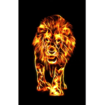 Furious Lions