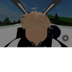 Robux detective