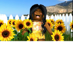 ~Sunflower City~