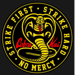 Cobra kai Karate !