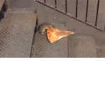 pizza_rats