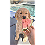 hellooo gud?