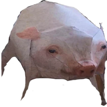 pig