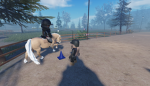 Equine Jane's lessons:)