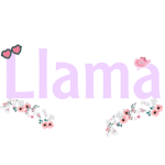 Llama’s closet