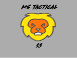 MS TACTICAL 13