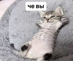 eblan 228