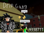 drip gang pros