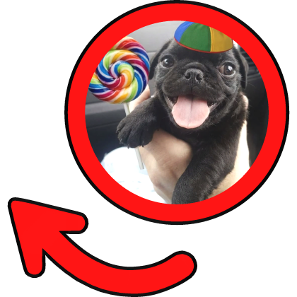 Silly Happy Dog Meme Circle