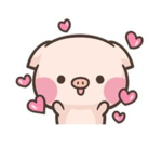 Team Love pigs
