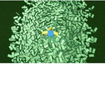 Robux RAİN