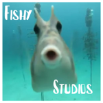 The Fish Studio!