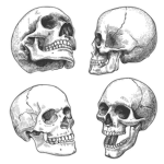 ThE dEAd gRouP!