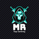 Mr TopGaming