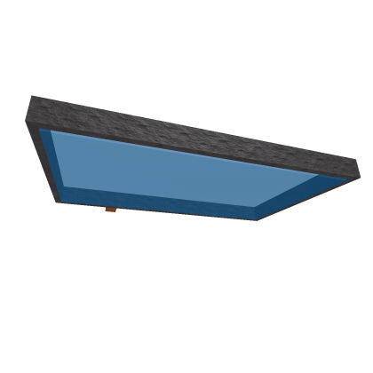 Model 19
