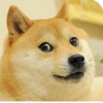 ###### doge