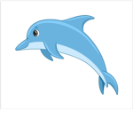 Mr.dolphin’s