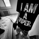 i am a viper