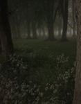 Dark cottage..