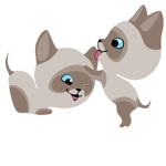 Cats if u love them