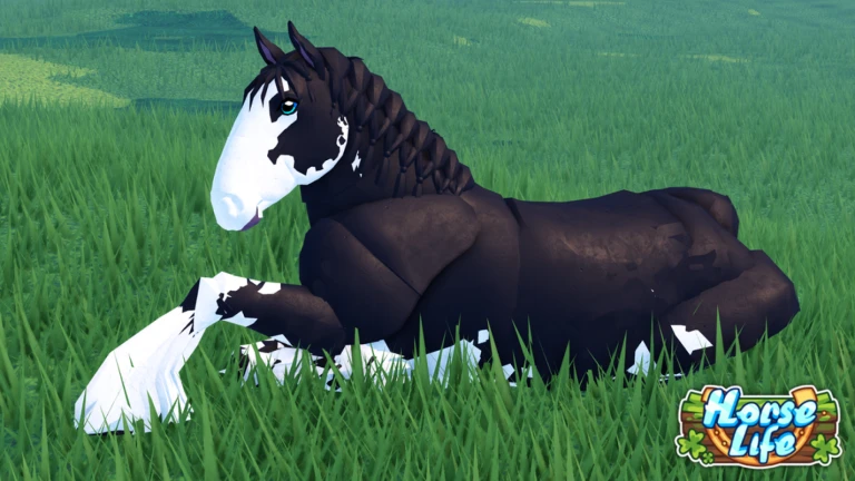 🏇 ホースライフ 🐎
