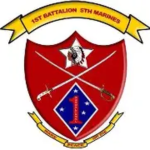 .1st Battalion 5th Marines.