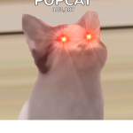 로블록스 부대