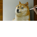 Doge United Oficial Group