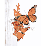 Swaggy butterflies!