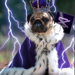 Royal Pug!