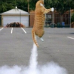Rocketcat