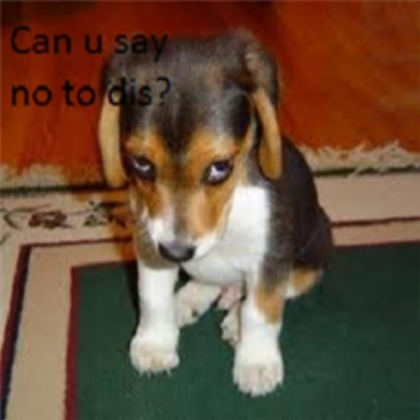 cute dog Roblox decal