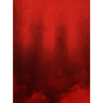 Red Gang Official Group