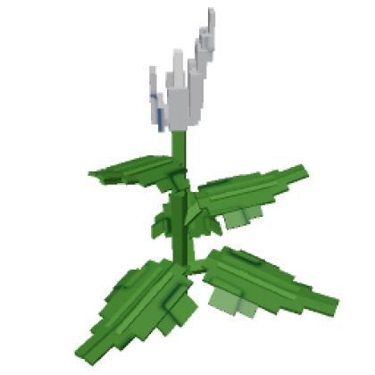 Peace Lily