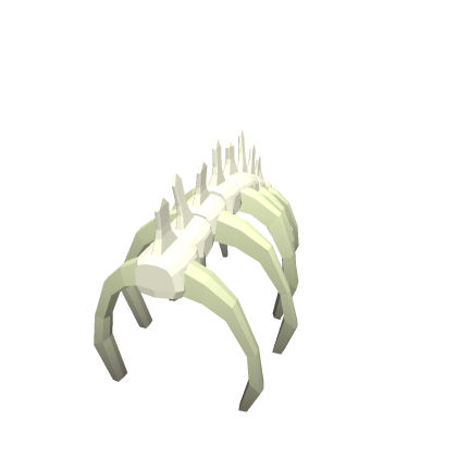 Spine