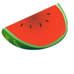 watermelon games/fan club
