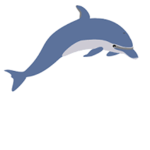 Dolphin Tank