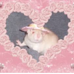 The rat league