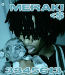 meraki <$