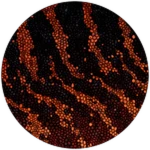 PRISMATIC Magmaheart Apatosaurus Unlocked! Roblox badge thumbnail