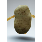 Potatoes united Junior