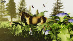 Ellas horses