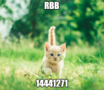 #RBB